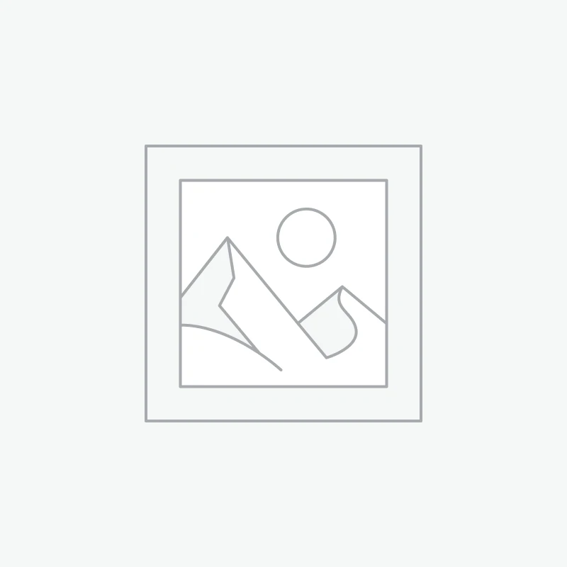 Rechargeable batteries